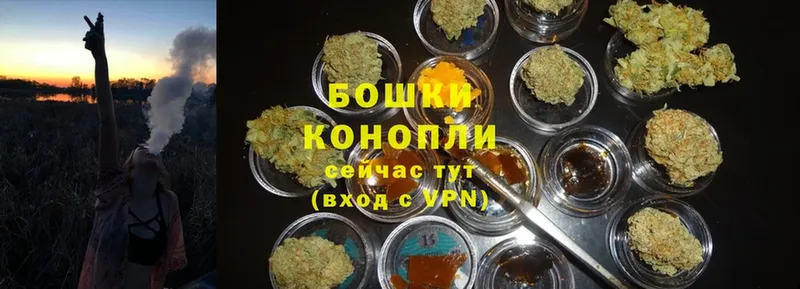 как найти наркотики  даркнет формула  Бошки марихуана White Widow  Апрелевка 